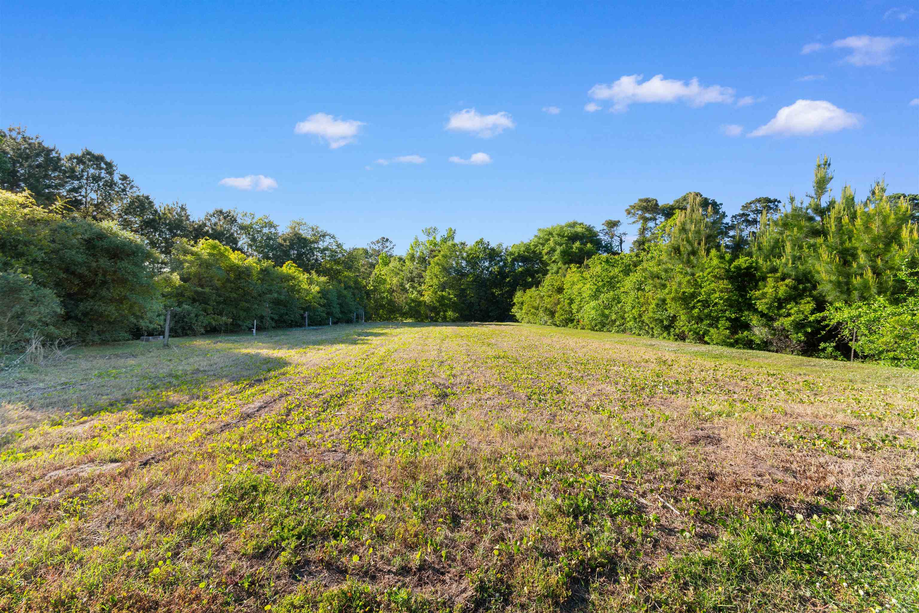 1594 Montford Road Georgetown, SC 29440 - Photo 45 of 77