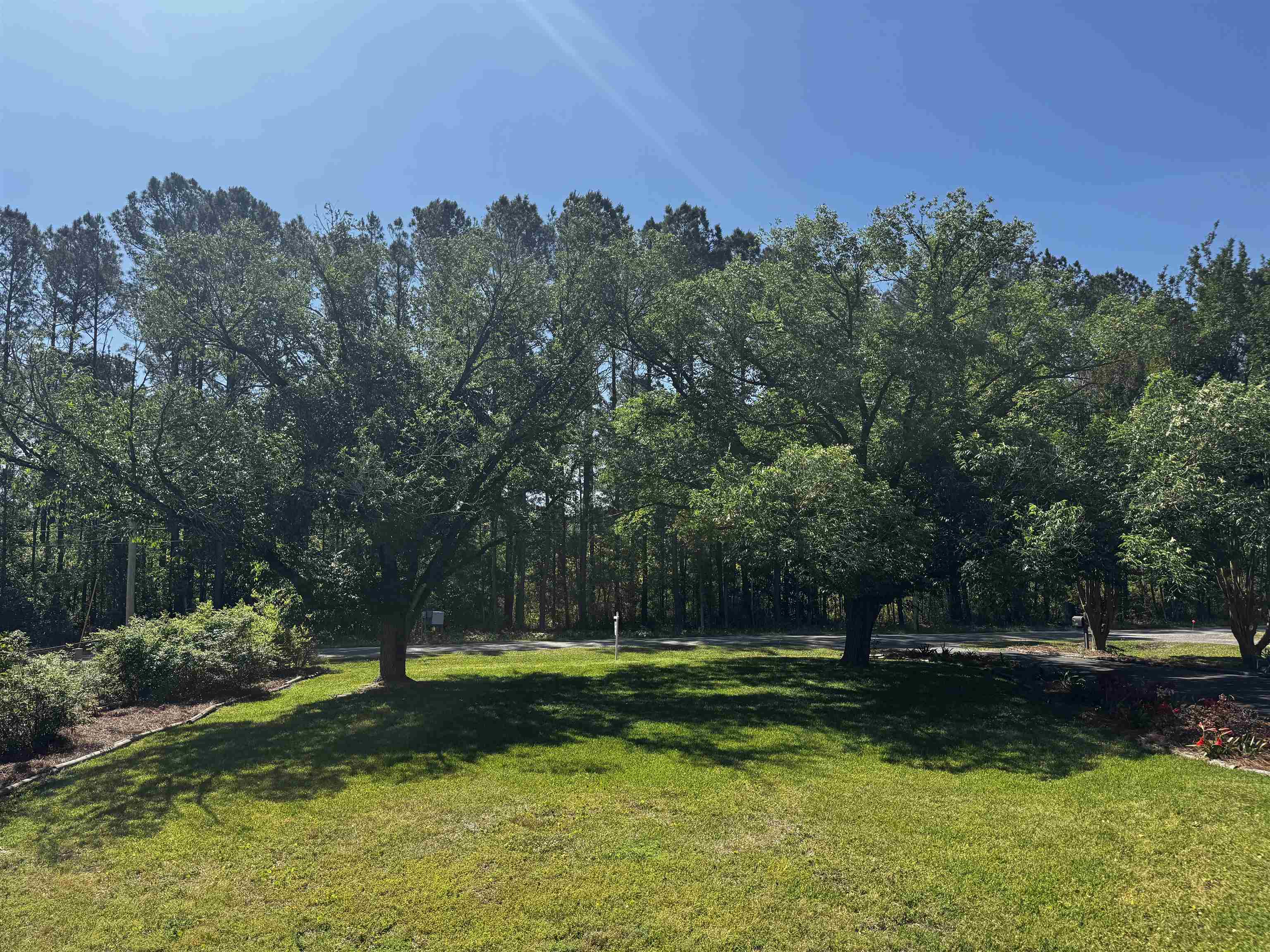 1594 Montford Road Georgetown, SC 29440 - Photo 59 of 77