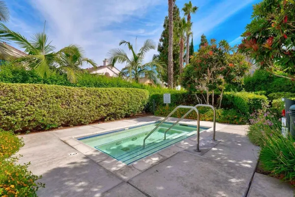 a view of a park with large trees