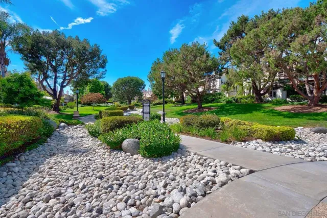 a view of a garden with pathway