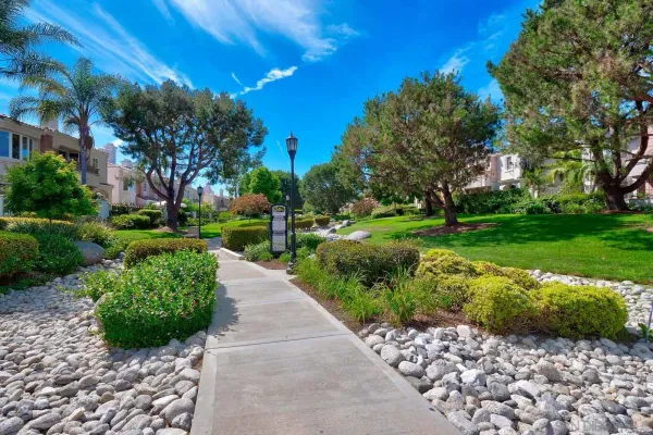 a view of a basket ball ground