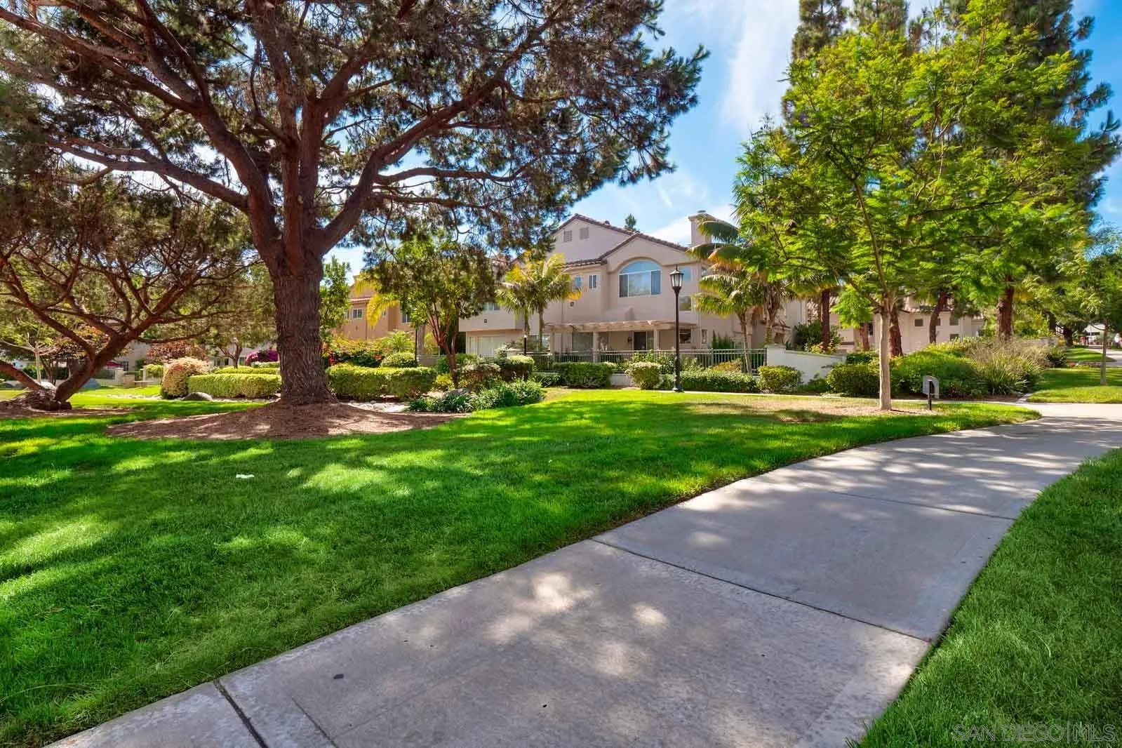 5512 Renaissance Avenue, Unit 3 San Diego, CA 92122 - Photo 51 of 57 a view of a park with large trees