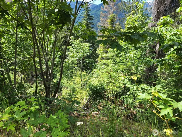 $265,000 | 7 Newport Creek Loop, Ronald, WA 98940