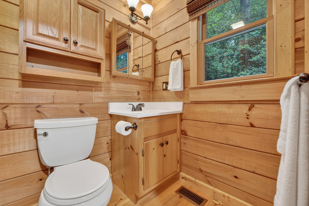234 Holly Hollow Road Blue Ridge, GA 30513 - Photo 26 of 34 Gallery Image 26
