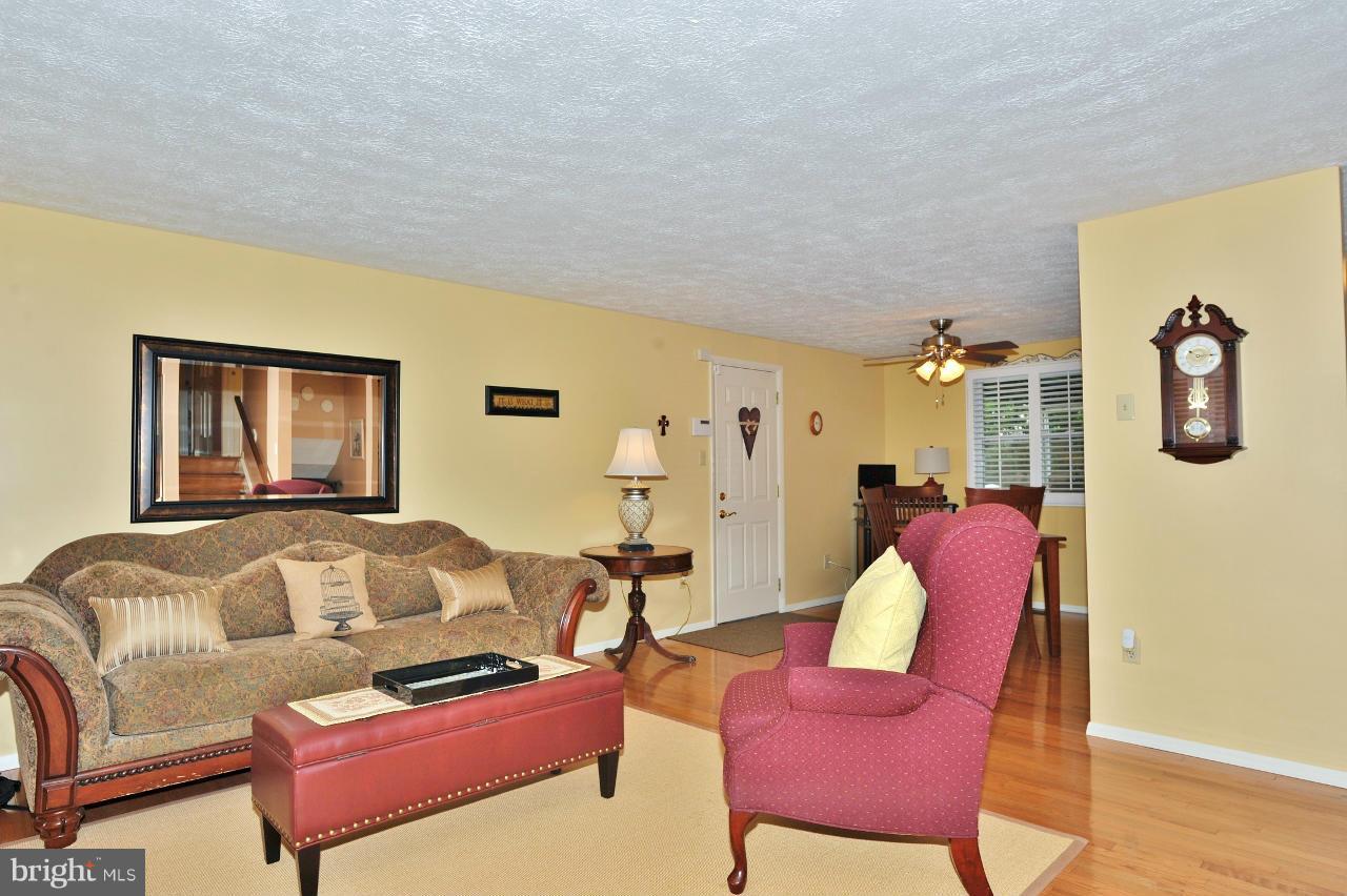 7017 Bedrock Road Alexandria, VA 22306 - Photo 2 of 30 Living Room