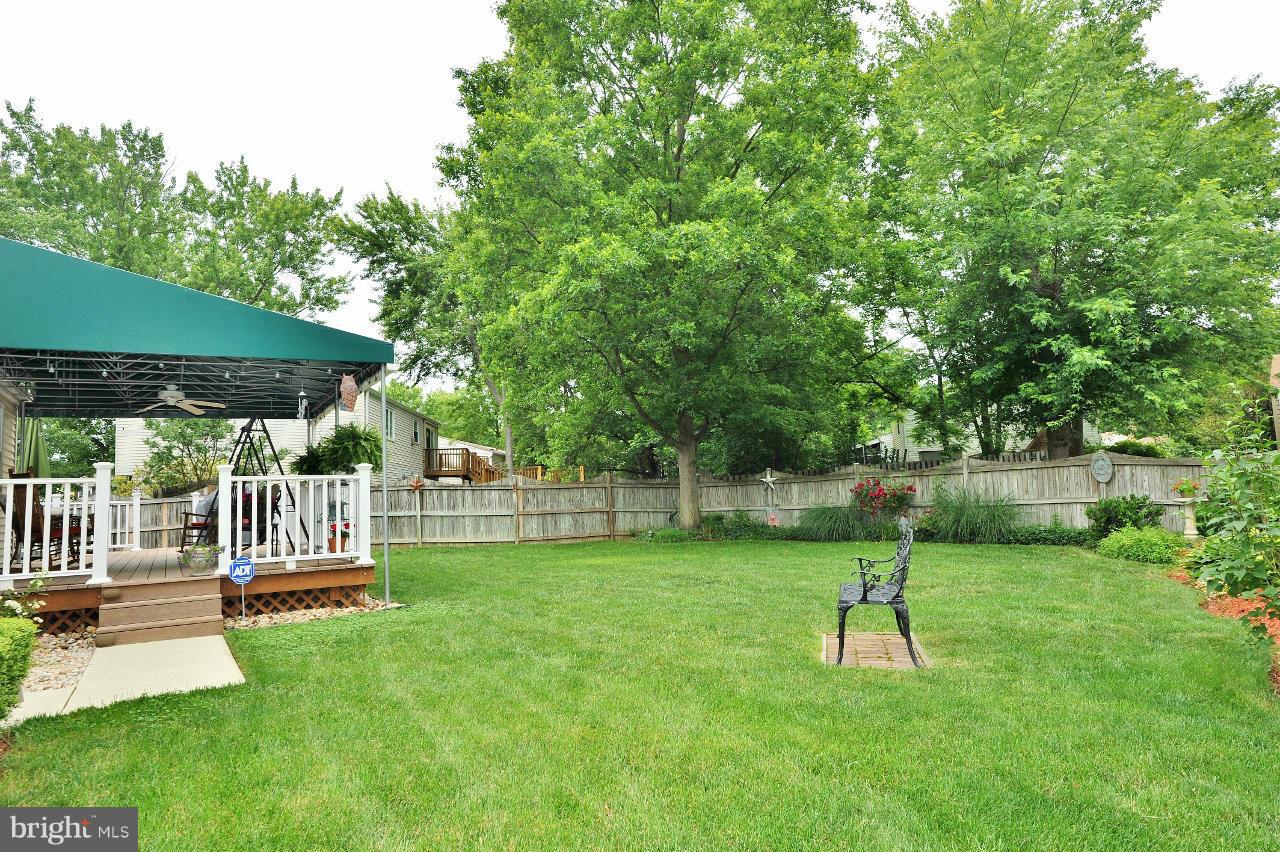 7017 Bedrock Road Alexandria, VA 22306 - Photo 13 of 30 Exterior (Rear)