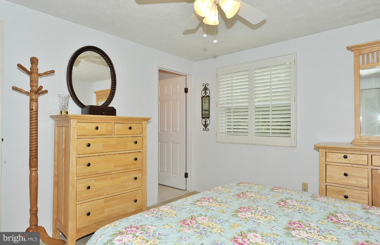 7017 Bedrock Road Alexandria, VA 22306 - Photo 16 of 30 Bedroom (Master)
