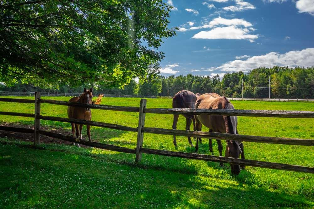 804 Middleline Road Milton, NY 12020 - Photo 9 of 53 Photo 9