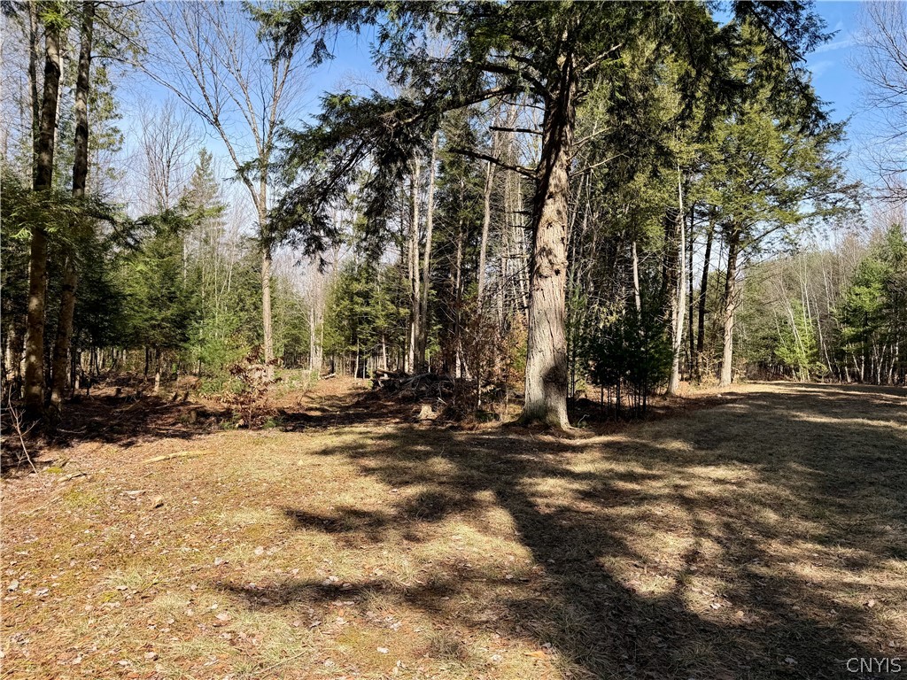 6919 Austin Road Glenfield, NY 13343 - Photo 4 of 28