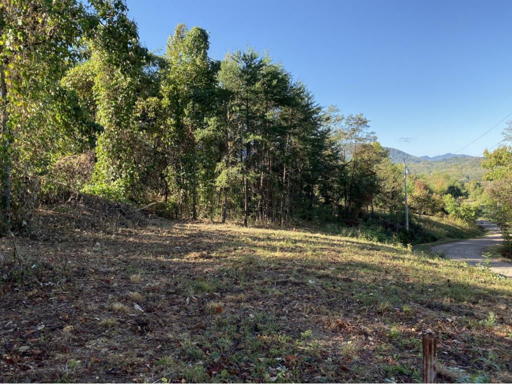 0 Ridge Walk Road, Unit 2 Cosby, TN 37722 - Photo 11 of 20 Photo 11