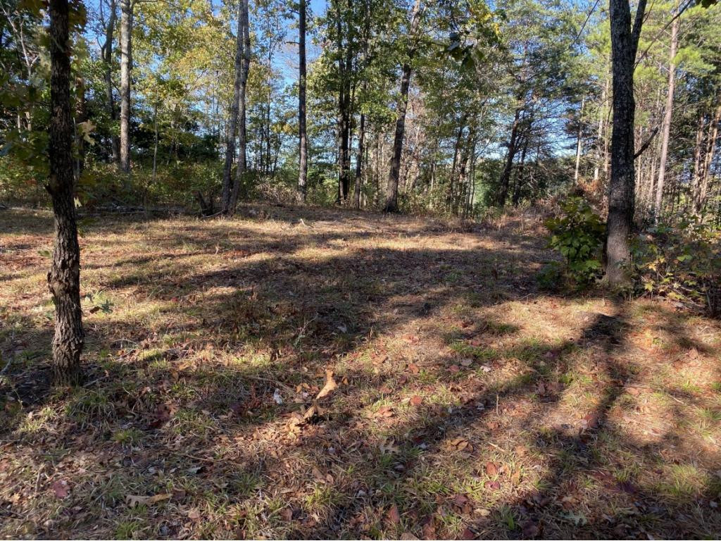 0 Ridge Walk Road, Unit 2 Cosby, TN 37722 - Photo 2 of 20 Photo 2