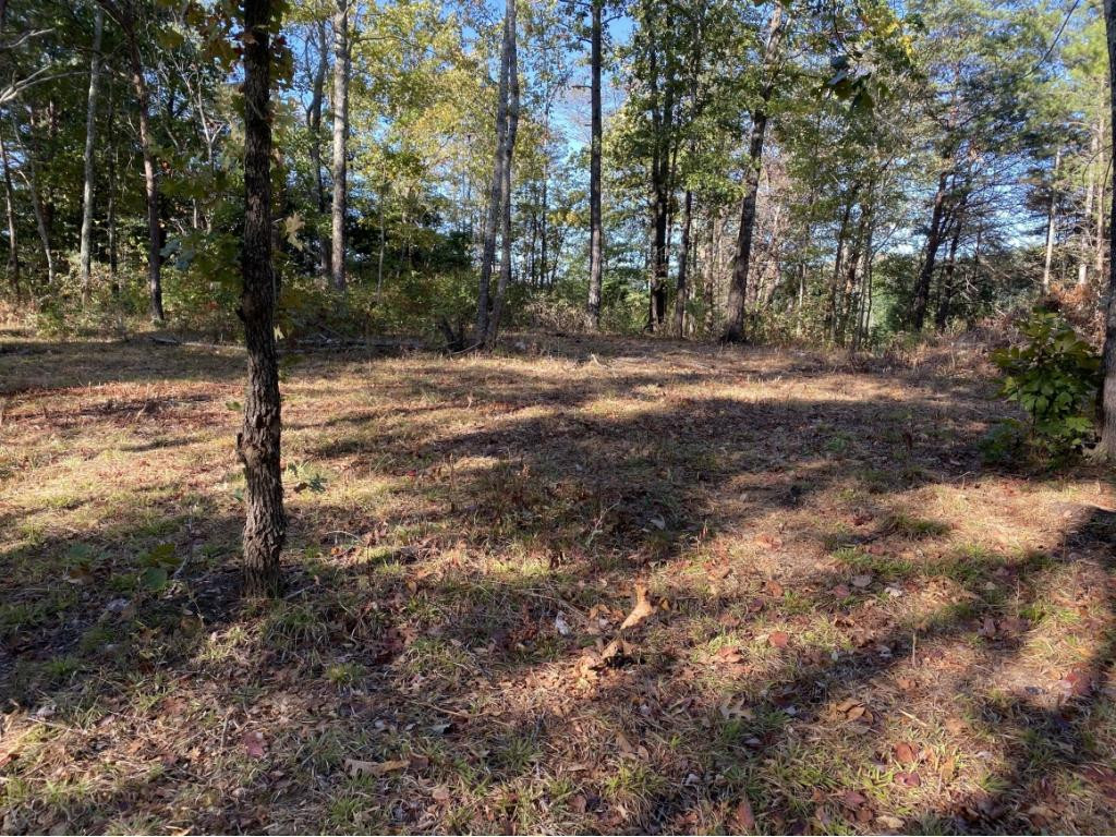 0 Ridge Walk Road, Unit 2 Cosby, TN 37722 - Photo 4 of 20 Photo 4