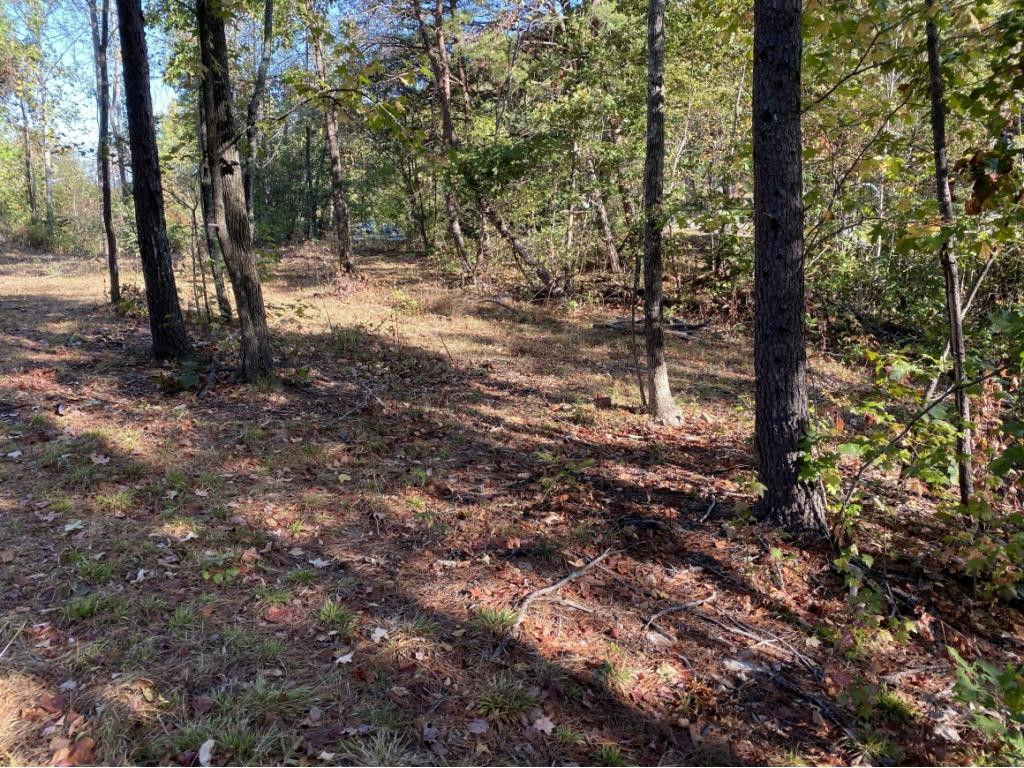 0 Ridge Walk Road, Unit 2 Cosby, TN 37722 - Photo 5 of 20 Photo 5