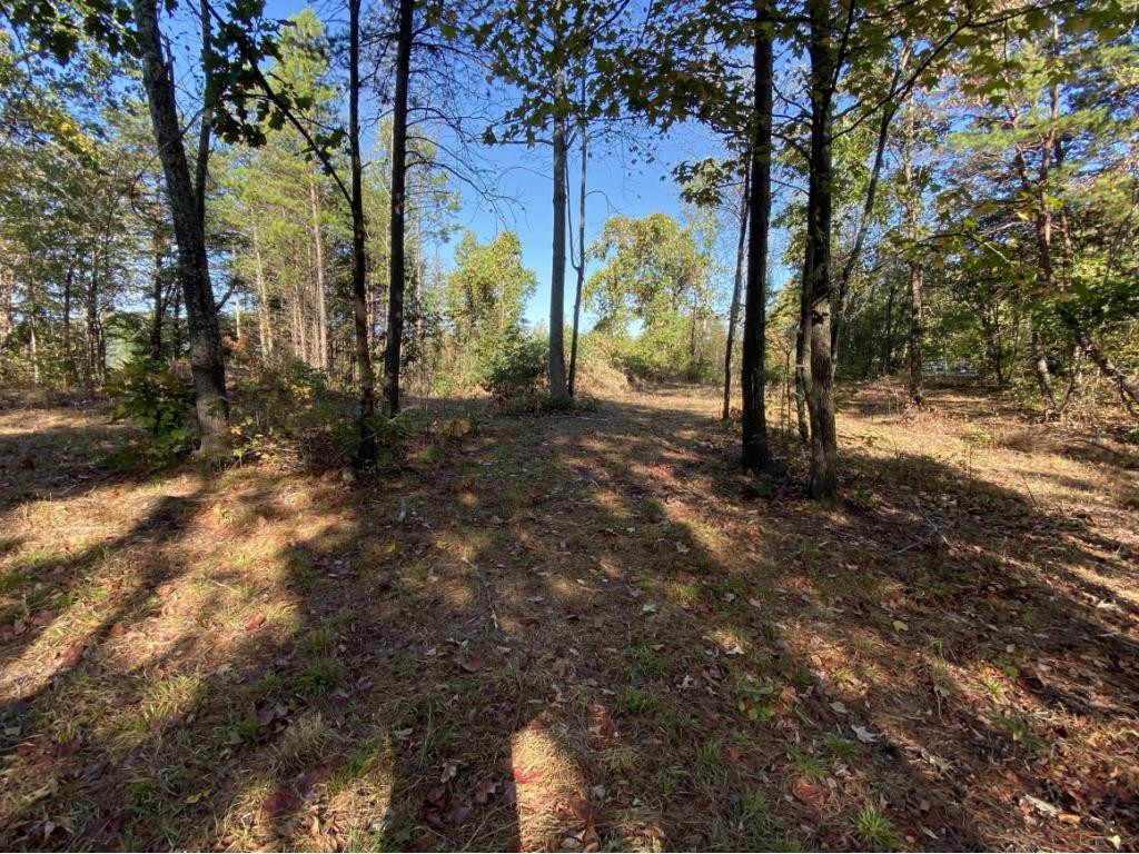 0 Ridge Walk Road, Unit 2 Cosby, TN 37722 - Photo 6 of 20 Photo 6