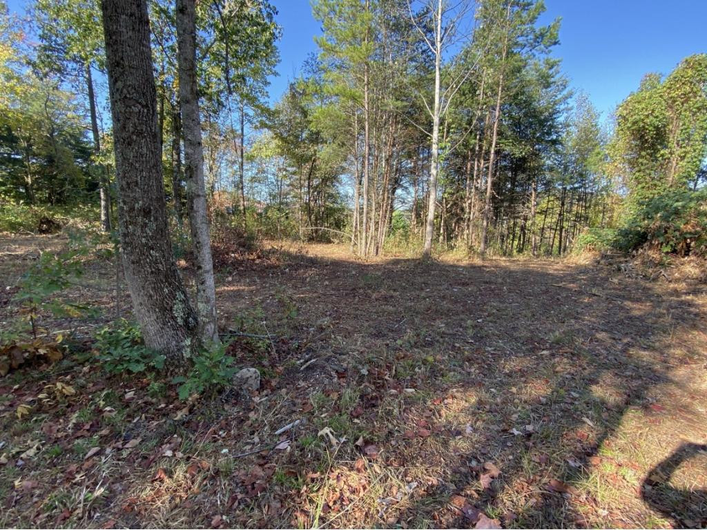 0 Ridge Walk Road, Unit 2 Cosby, TN 37722 - Photo 7 of 20 Photo 7