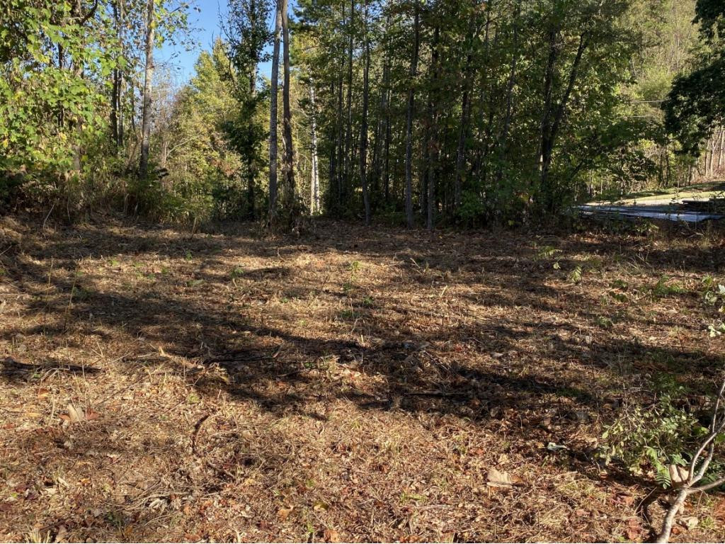 0 Ridge Walk Road, Unit 2 Cosby, TN 37722 - Photo 8 of 20 Photo 8