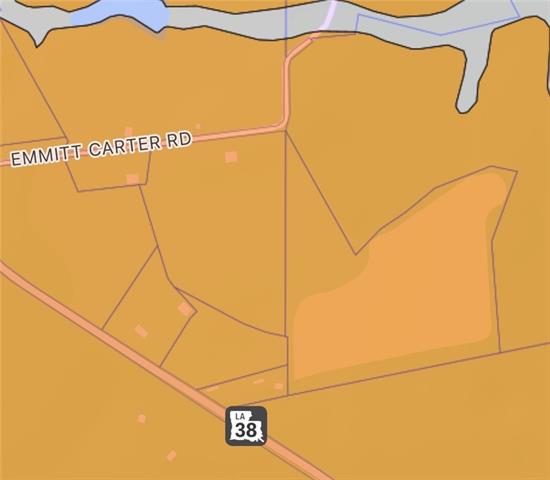 38090 Emmitt Carter Road Mount Hermon, LA 70450 - Photo 11 of 19