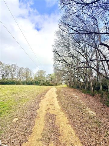 38090 Emmitt Carter Road Mount Hermon, LA 70450 - Photo 19 of 19
