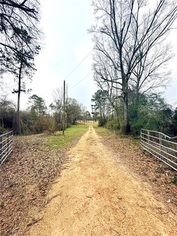38090 Emmitt Carter Road Mount Hermon, LA 70450 - Photo 2 of 19