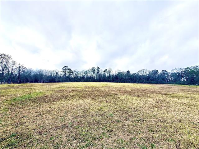 38090 Emmitt Carter Road Mount Hermon, LA 70450 - Photo 3 of 19