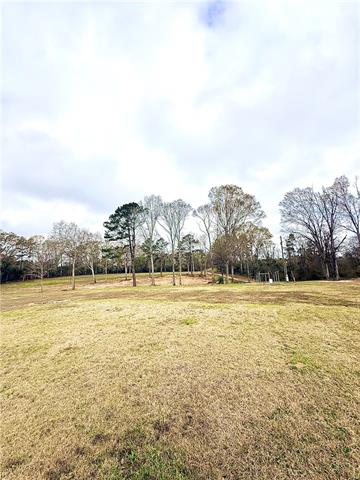 38090 Emmitt Carter Road Mount Hermon, LA 70450 - Photo 4 of 19