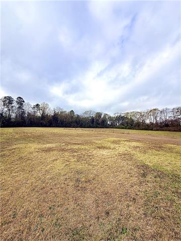 38090 Emmitt Carter Road Mount Hermon, LA 70450 - Photo 5 of 19