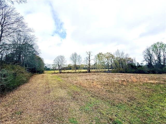 38090 Emmitt Carter Road Mount Hermon, LA 70450 - Photo 6 of 19
