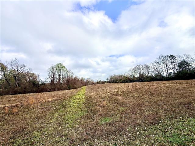 38090 Emmitt Carter Road Mount Hermon, LA 70450 - Photo 7 of 19