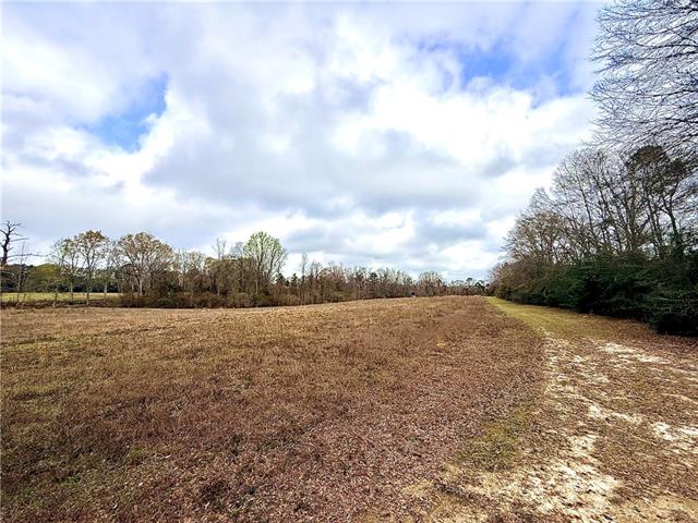 38090 Emmitt Carter Road Mount Hermon, LA 70450 - Photo 8 of 19