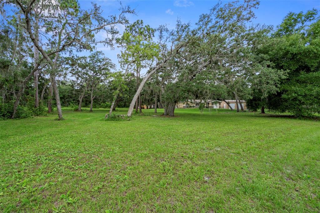 35362 Ranchette Boulevard Webster, FL 33597 - Photo 43 of 47