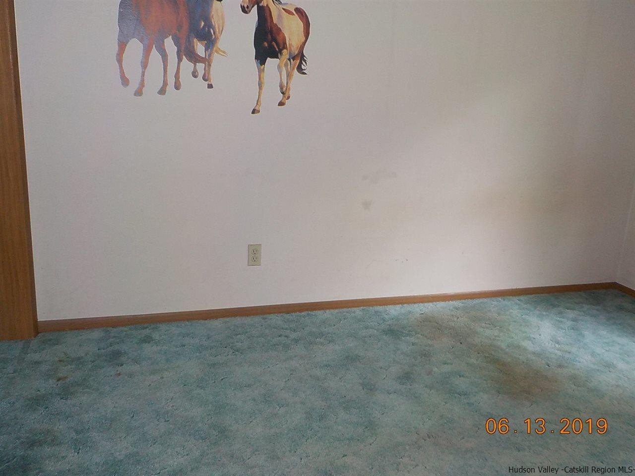 2531 Old Kings Road Catskill, NY 12414 - Photo 22 of 31 Photo 22