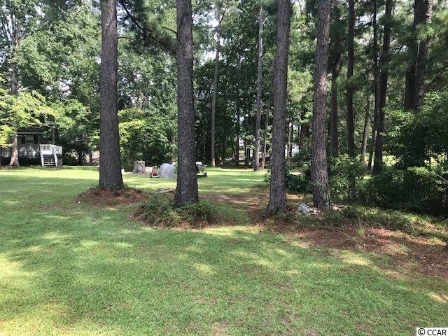 160 Apache Road Georgetown, SC 29440 - Photo 4 of 16 Gallery Image 4