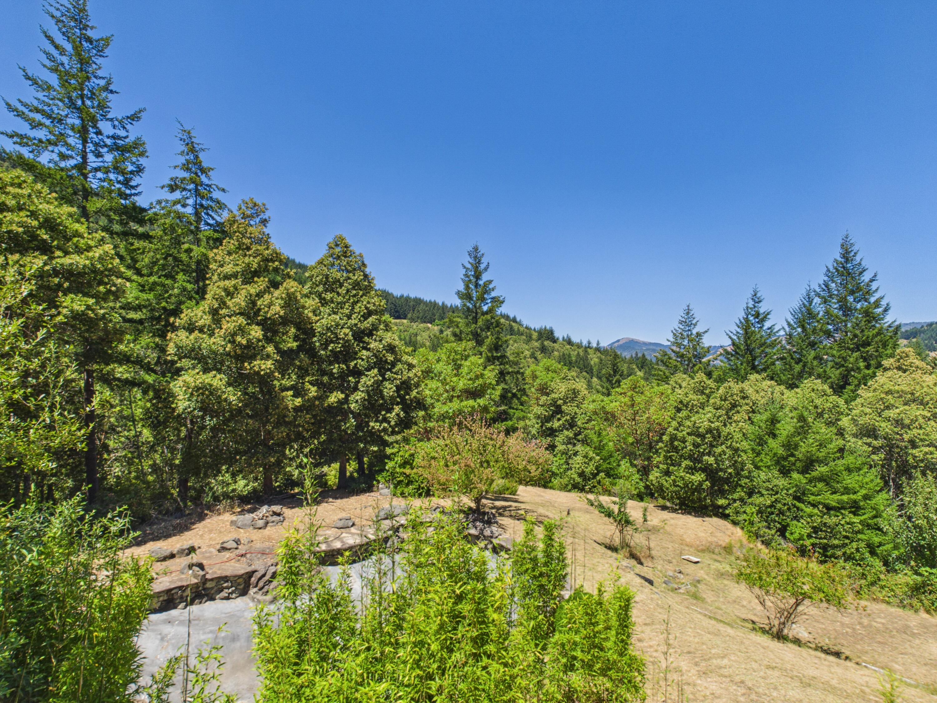 440 Cooskie Ridge Road Petrolia, CA 95558 - Photo 61 of 116