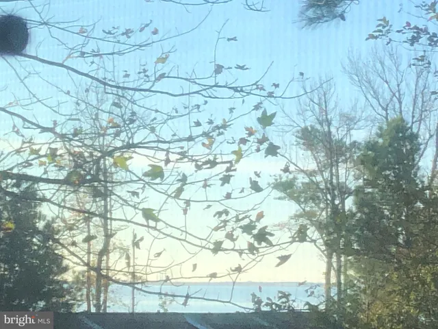 a backyard of a house