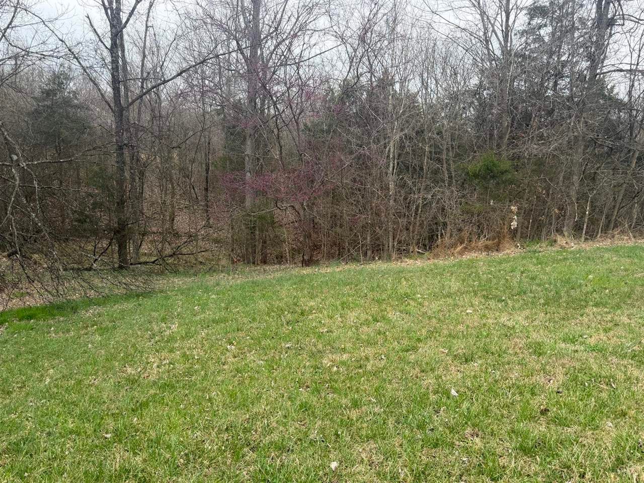 200 Richardson Road Summer Shade, KY 42166 - Photo 17 of 18 Gallery Image 17