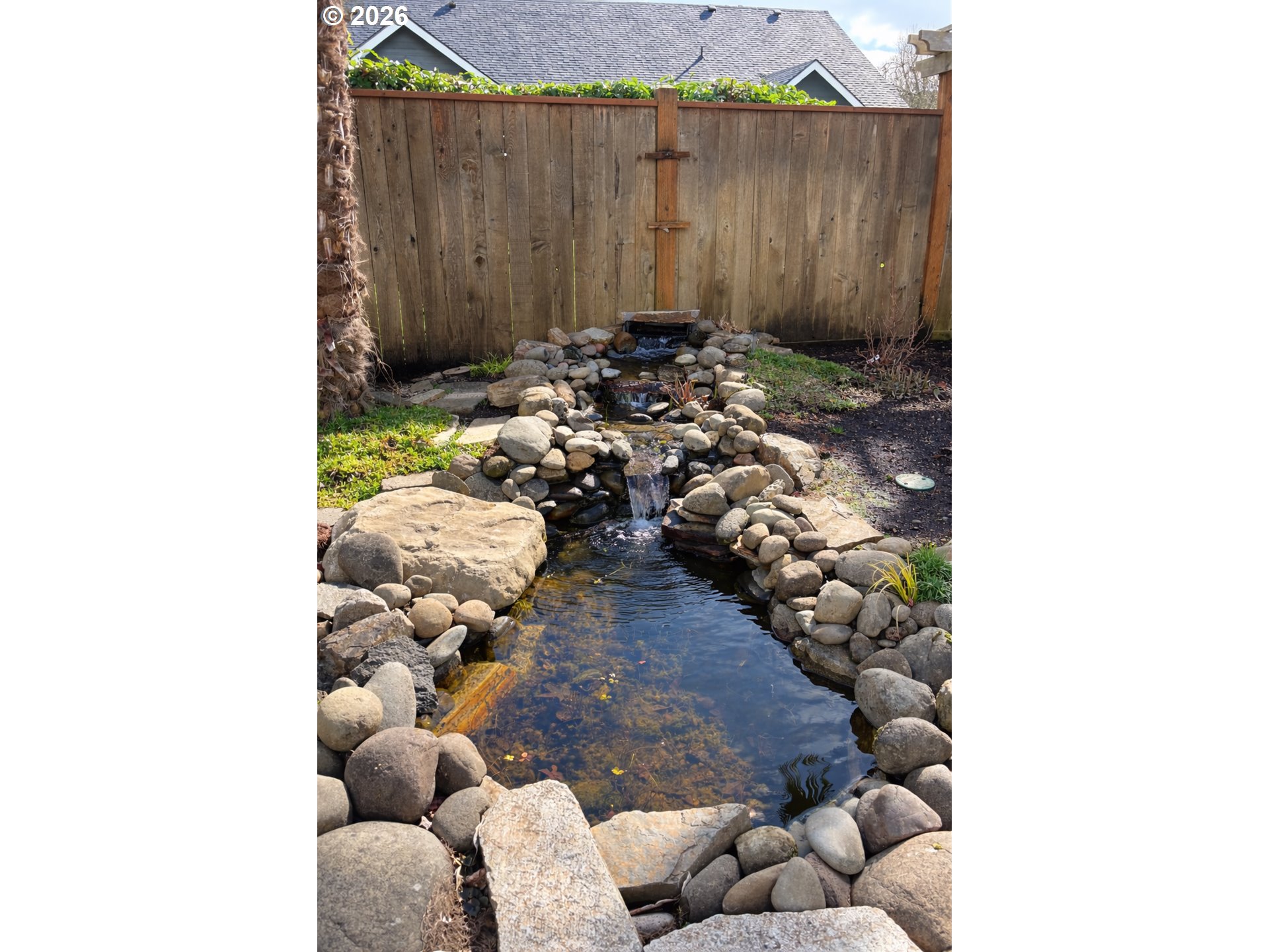 817 River Knoll Way Springfield, OR 97477 - Photo 25 of 29