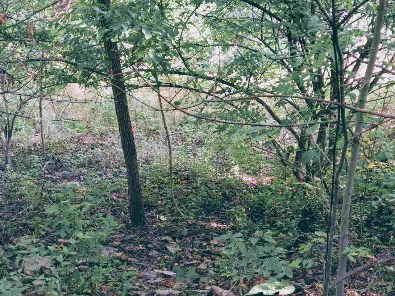 612 Fairview Road Williamstown, KY 41097 - Photo 44 of 46 Gallery Image 44