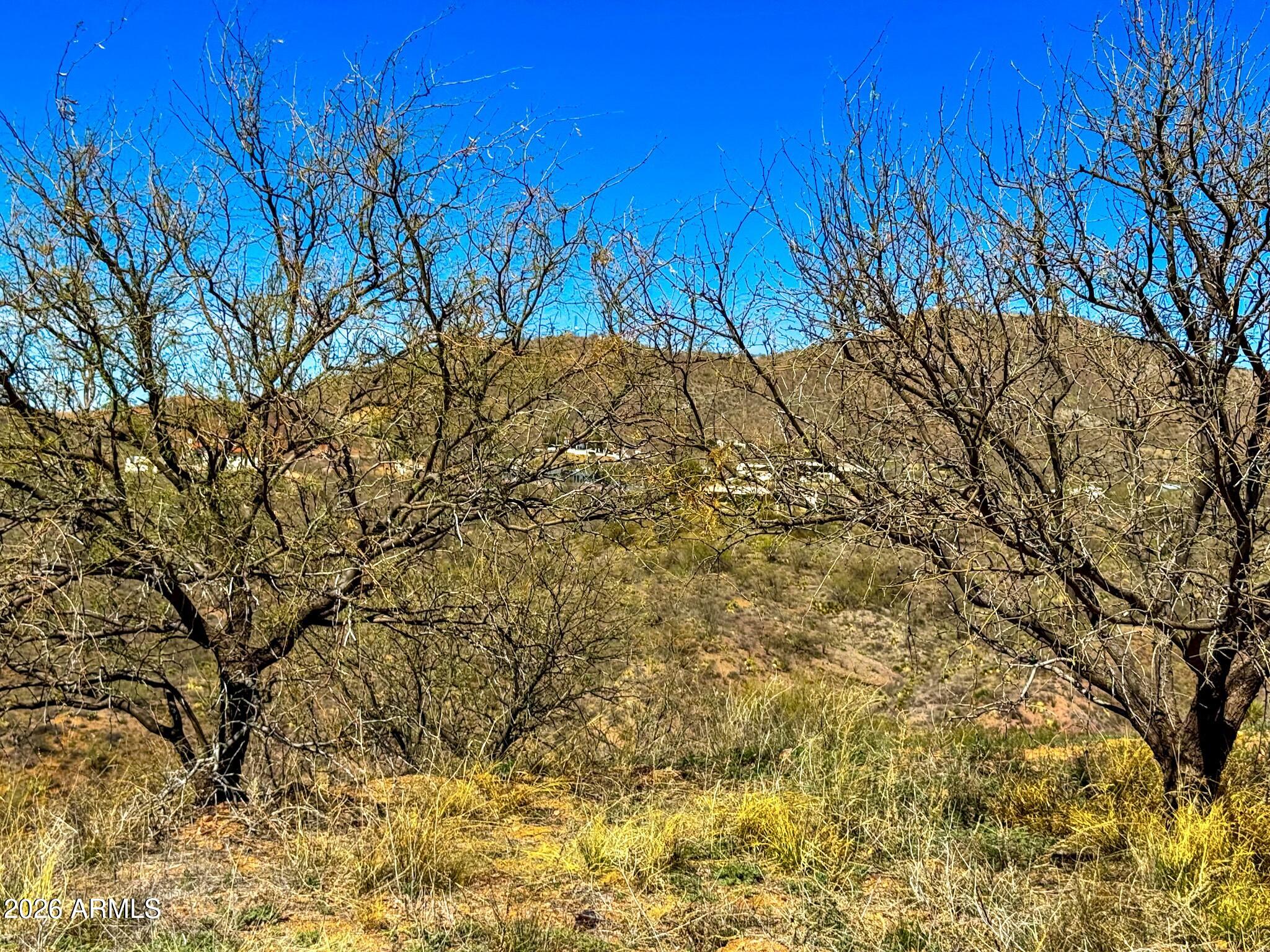 2709 North Cinco Millas Road Nogales, AZ 85621 - Photo 8 of 23 IMG_4908