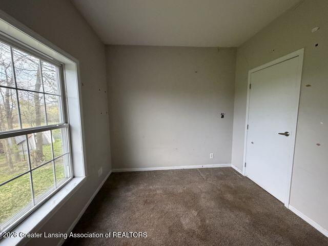 9503 Babcock Road Bellevue, MI 49021 - Photo 26 of 34 IMG_0693