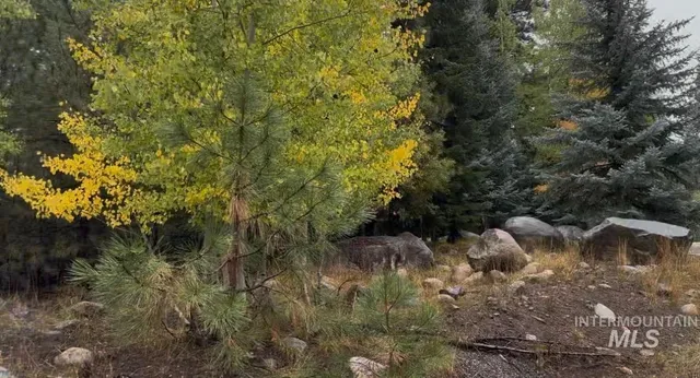 $424,900 | Tbd Heavens Gate Court, McCall, ID 83638