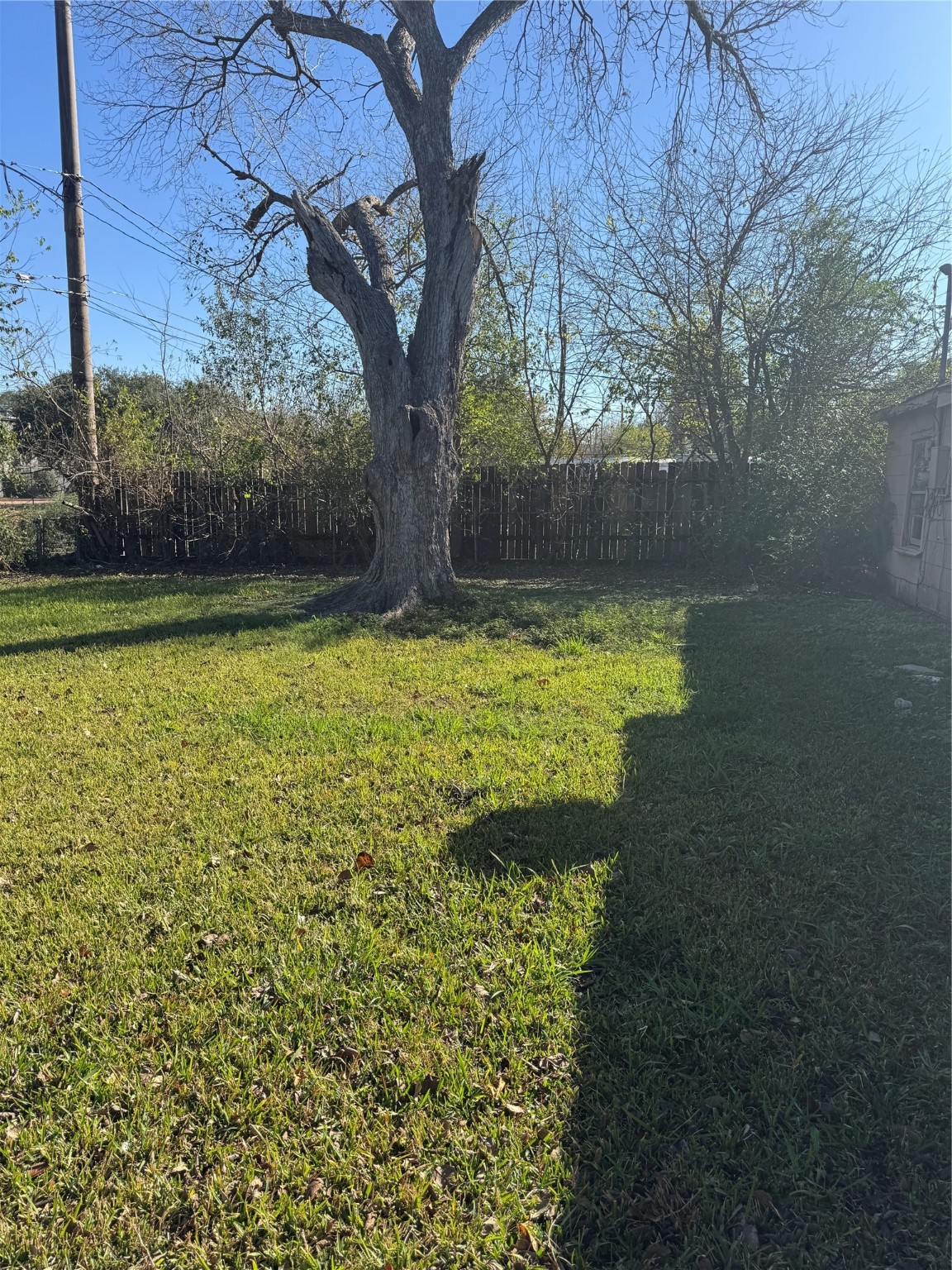 5325 Longmeadow Street Houston, TX 77033 - Photo 27 of 32 a view of a yard with a house