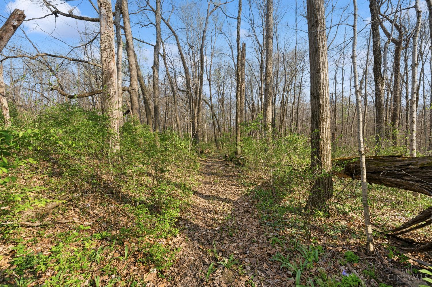 1435 Halpin Road Clarksville, OH 45113 - Photo 30 of 30