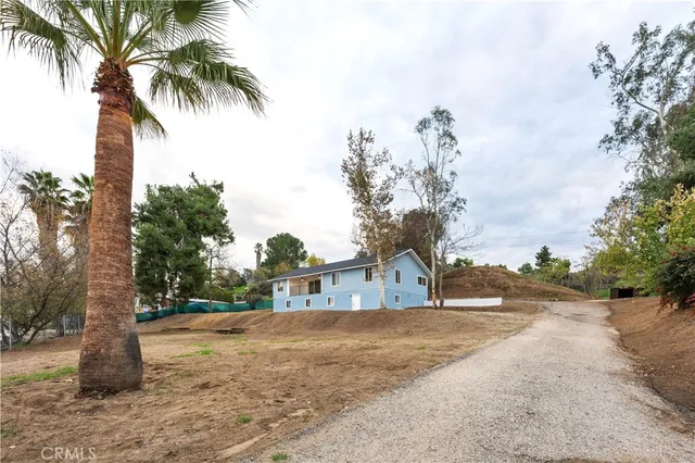 a view of road with large trees