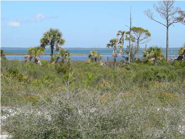 4334 Cape San Blas Road Port St. Joe, FL 32456 - Photo 1 of 1