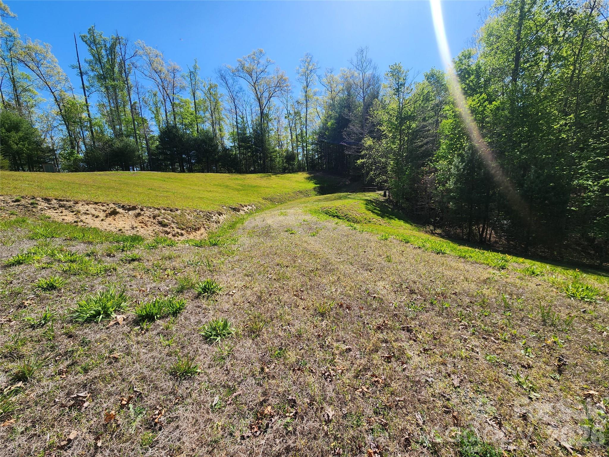 889 Firefly Trail Marshall, NC 28753 - Photo 19 of 35 a view of a field with trees in the background