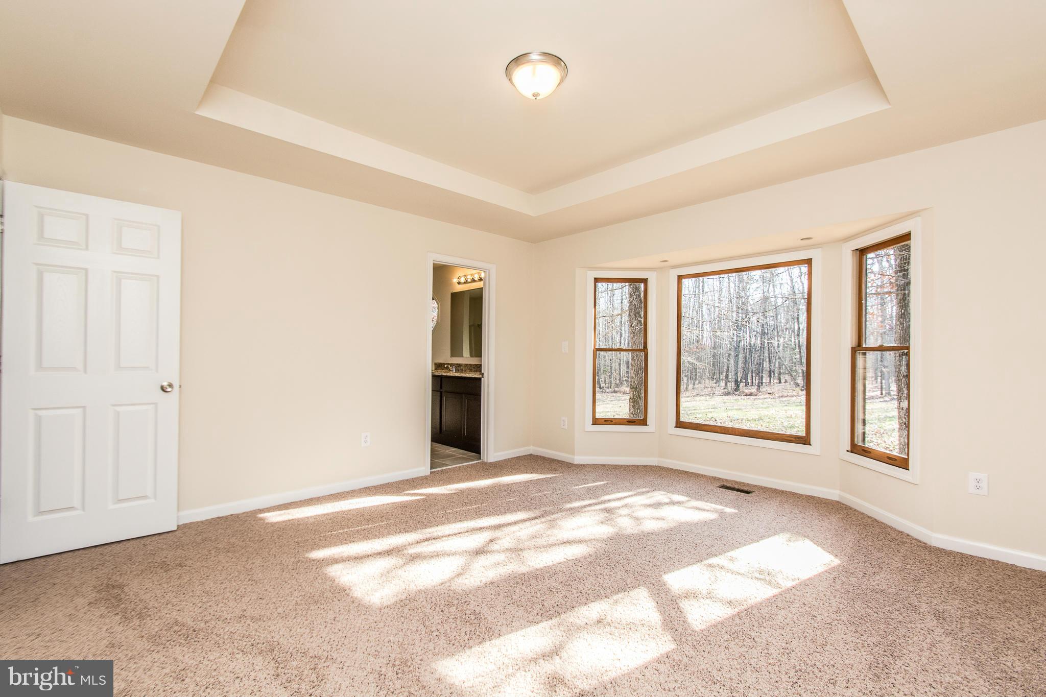 31238 Price Road Locust Grove, VA 22508 - Photo 17 of 30 Bedroom (Master)