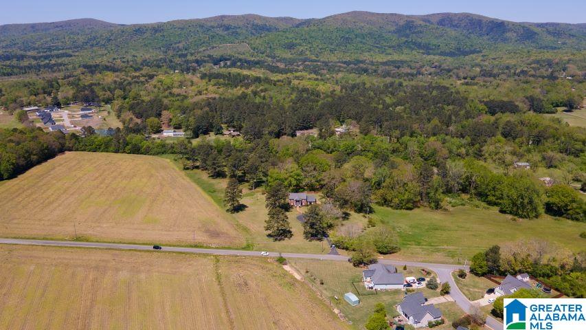 1565 Old Choccolocco Road Anniston, AL 36207 - Photo 63 of 66
