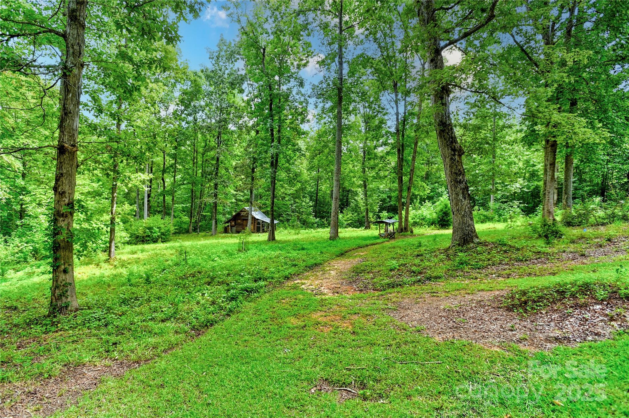 720 Potneck Road Salisbury, NC 28147 - Photo 39 of 48 a view of a park with large trees