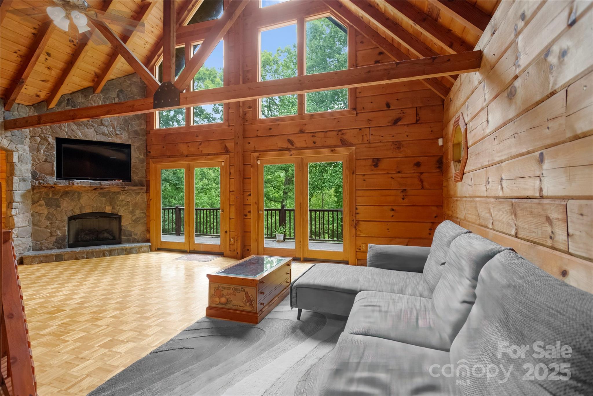 720 Potneck Road Salisbury, NC 28147 - Photo 10 of 48 a living room with furniture fireplace and flat screen tv
