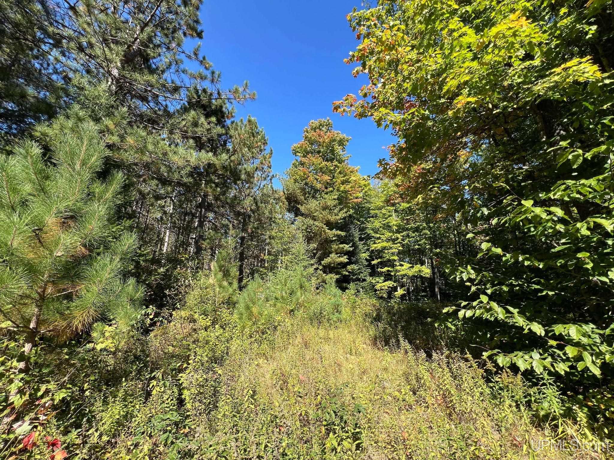 Off Usfs Trail, Unit 2440 Wetmore, MI 49895 - Photo 7 of 34